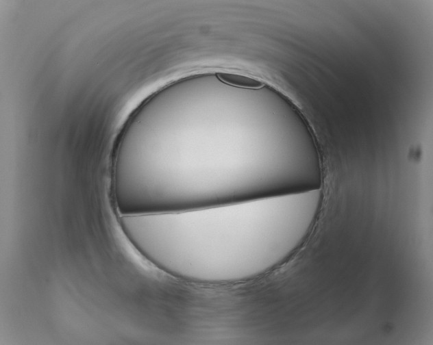 X0000111021523200906191218