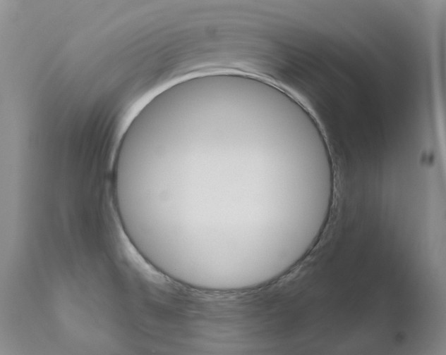 X0000111021524200906191218