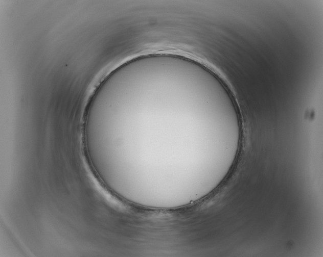X0000111021525200906191218