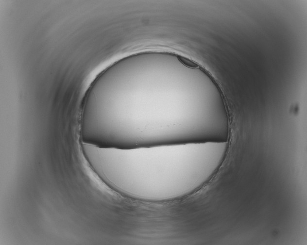 X0000111021526200906191218