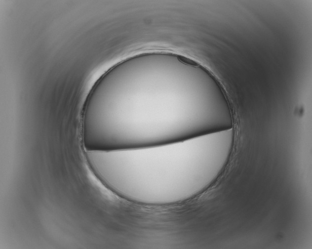 X0000111021527200906191218