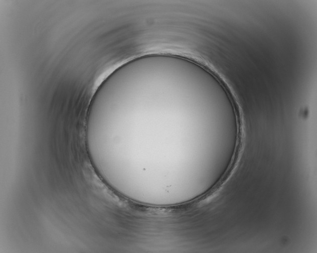 X0000111021529200906191218