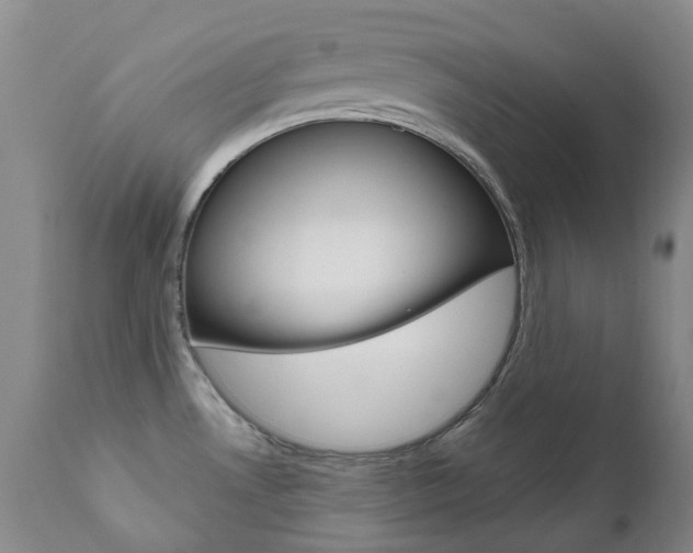X0000111021530200906191218