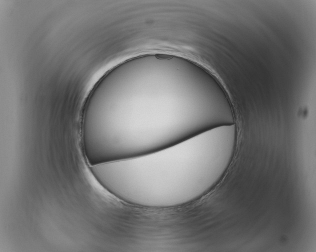 X0000111021531200906191218