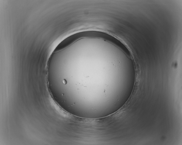 X0000111021532200906191218