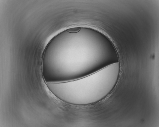 X0000111021534200906191218