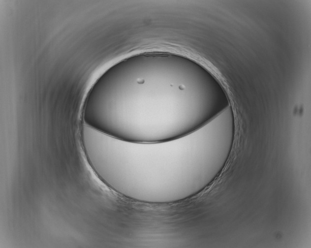 X0000111021536200906191219