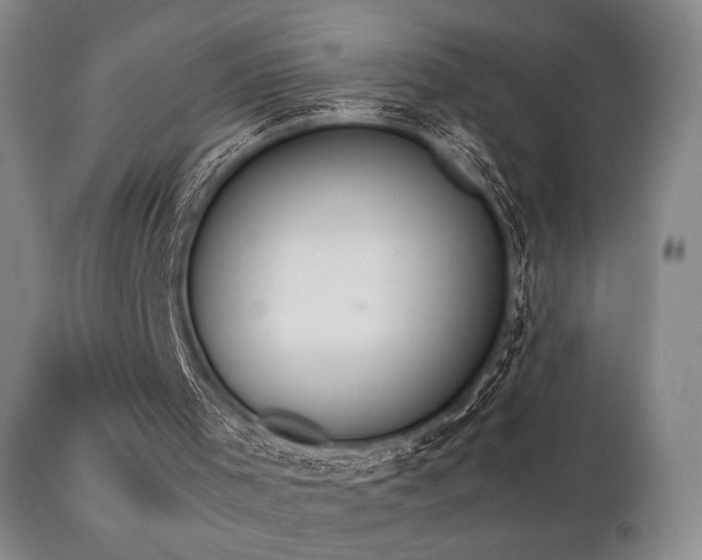 X0000111020001200906191703