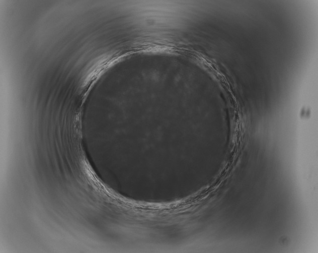 X0000111020002200906191703