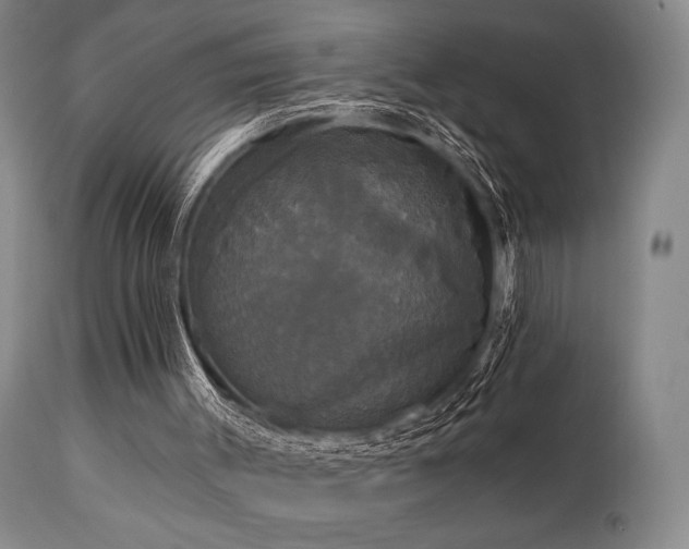 X0000111020003200906191703