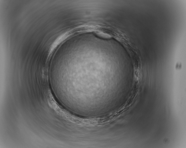 X0000111020004200906191703