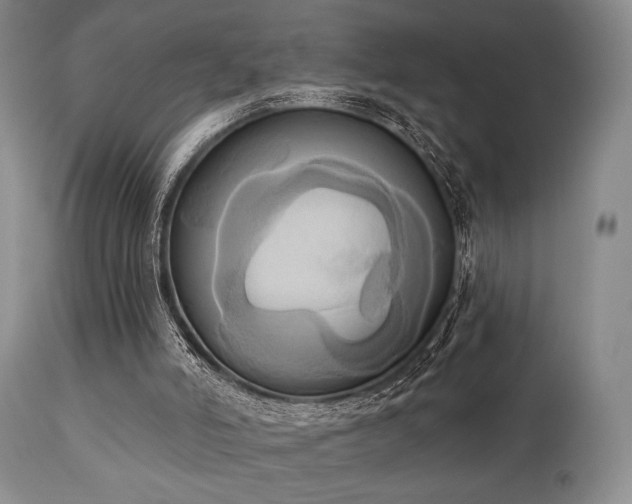 X0000111020006200906191703