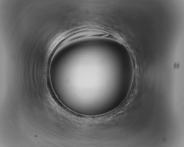 X0000111020007200906191703
