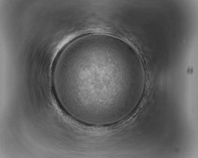 X0000111020008200906191703
