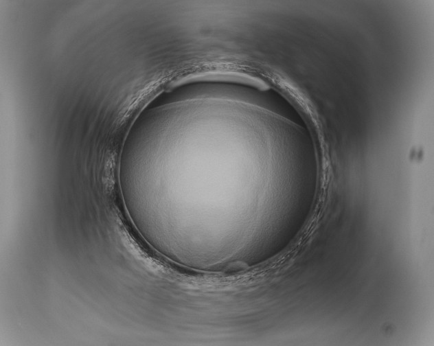 X0000111020009200906191703