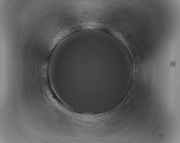 X0000111020010200906191703