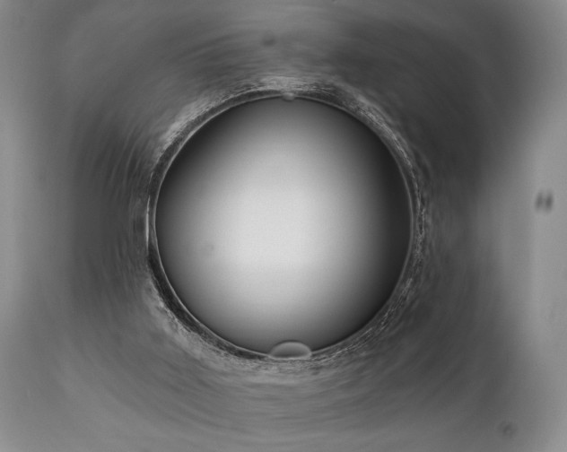 X0000111020011200906191703