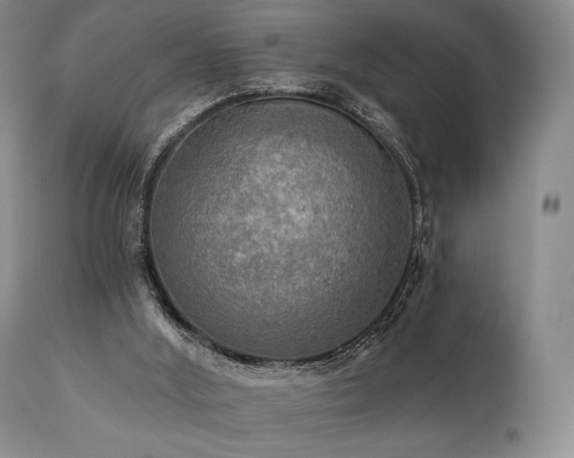 X0000111020012200906191703
