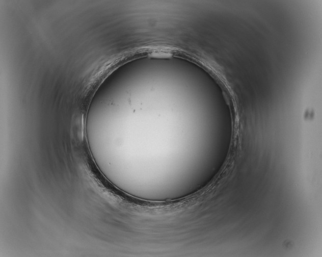 X0000111020013200906191703