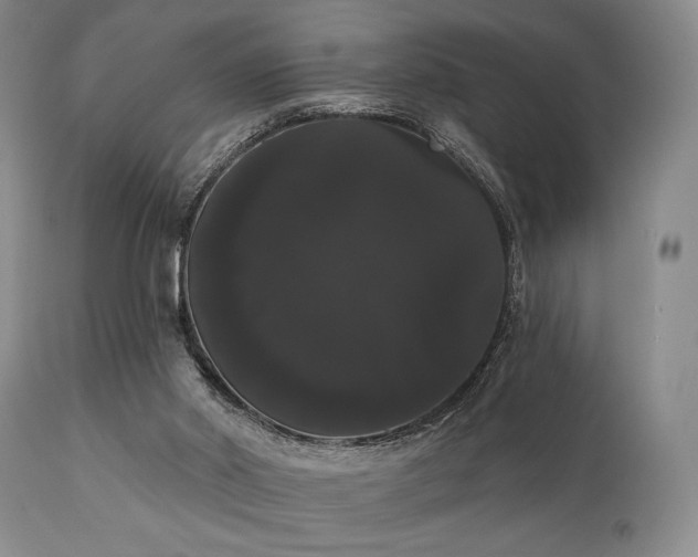 X0000111020014200906191703