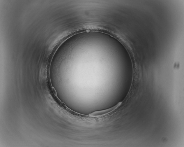 X0000111020015200906191703