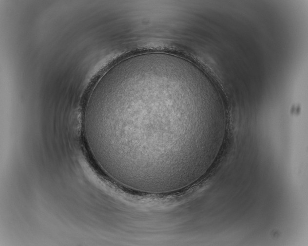 X0000111020016200906191703