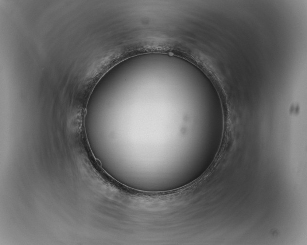 X0000111020017200906191703