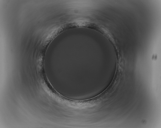 X0000111020018200906191703