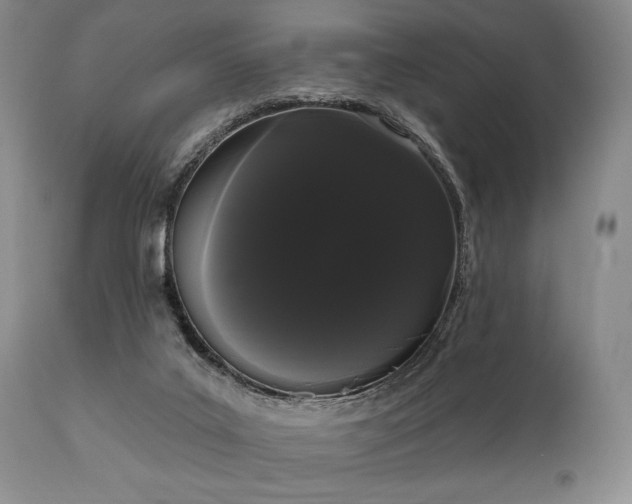 X0000111020019200906191703