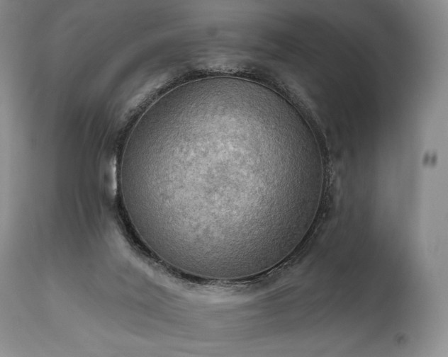 X0000111020020200906191703