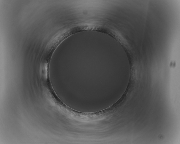 X0000111020022200906191703