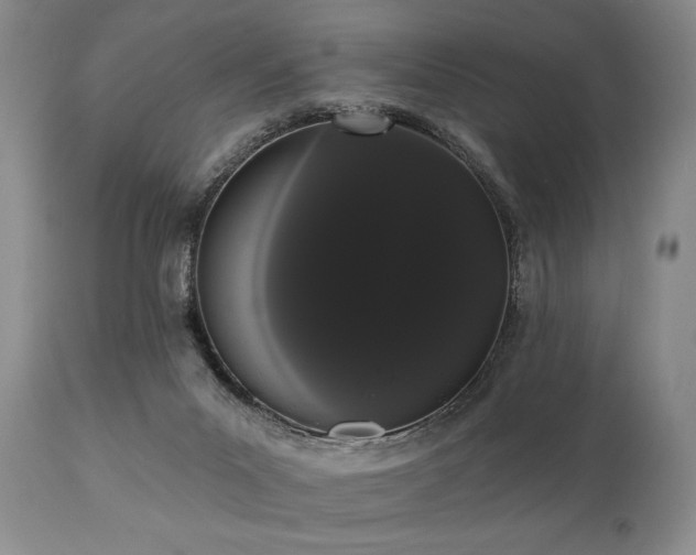 X0000111020023200906191703
