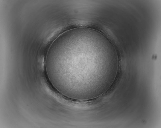 X0000111020024200906191703