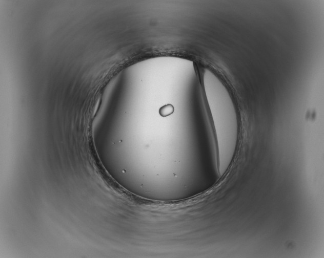 X0000111020025200906191703