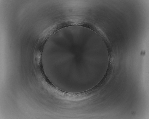 X0000111020026200906191703