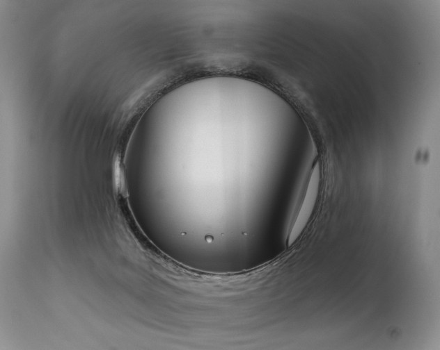 X0000111020027200906191703