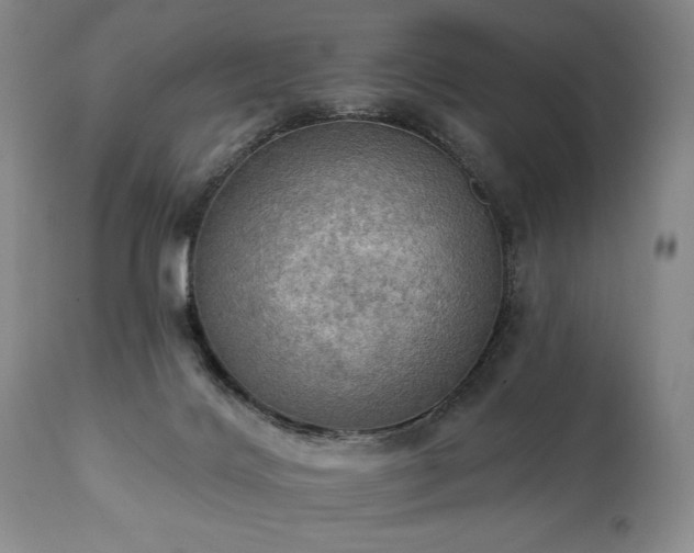 X0000111020028200906191703