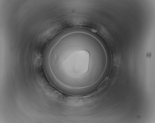 X0000111020029200906191703