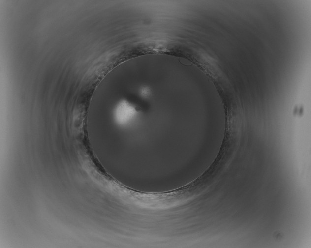 X0000111020030200906191703