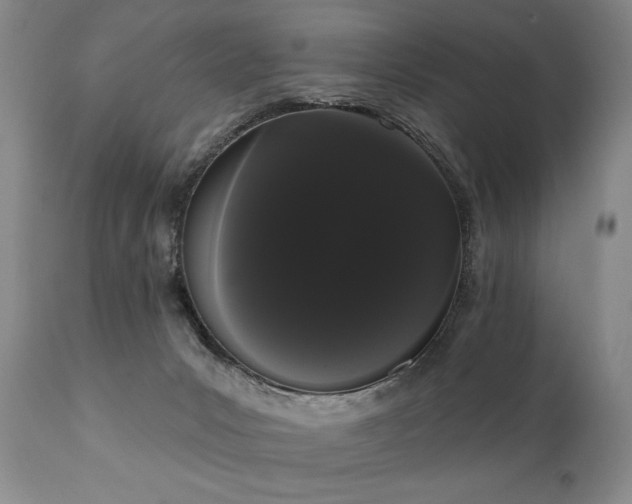 X0000111020031200906191703