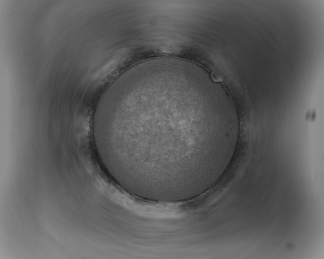 X0000111020032200906191703