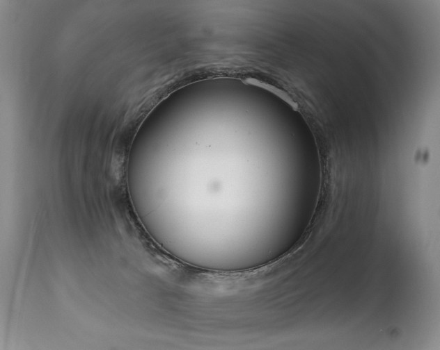 X0000111020033200906191703