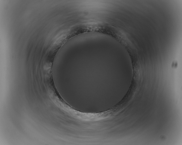 X0000111020034200906191703