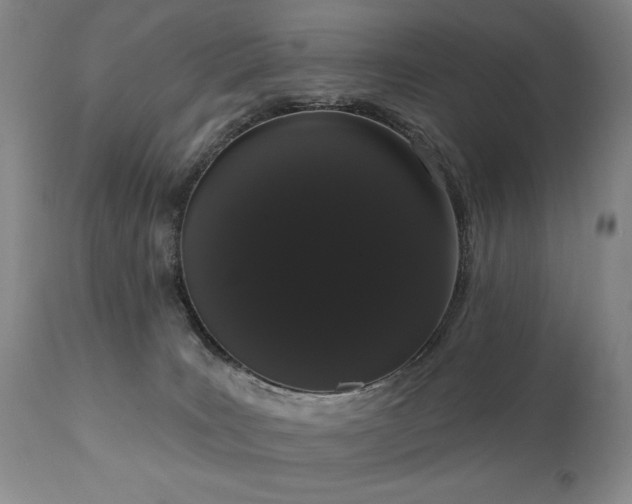 X0000111020035200906191703