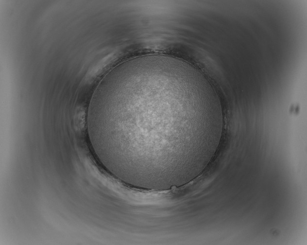 X0000111020036200906191703