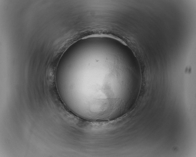 X0000111020037200906191703