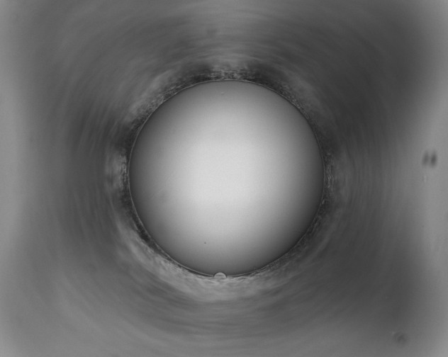 X0000111020038200906191703