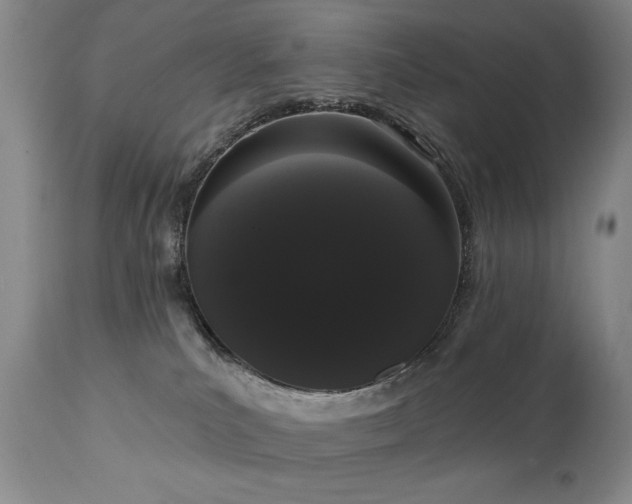 X0000111020039200906191703