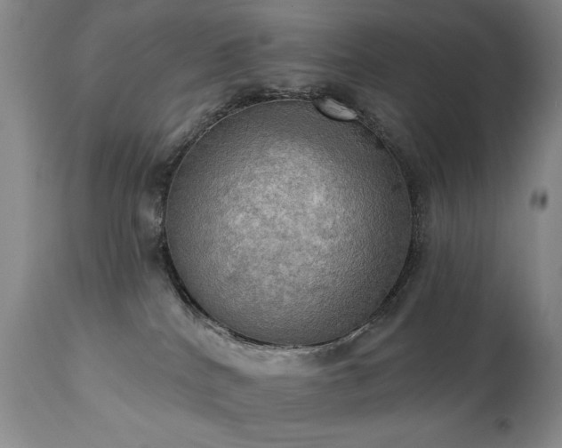 X0000111020040200906191703