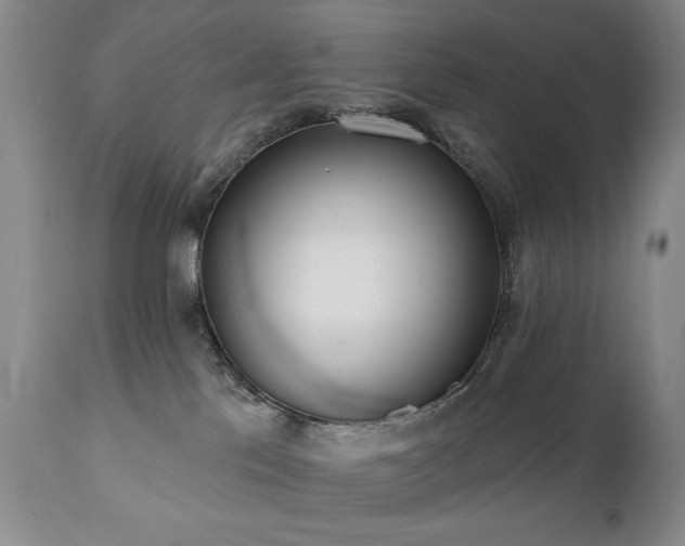 X0000111020041200906191703